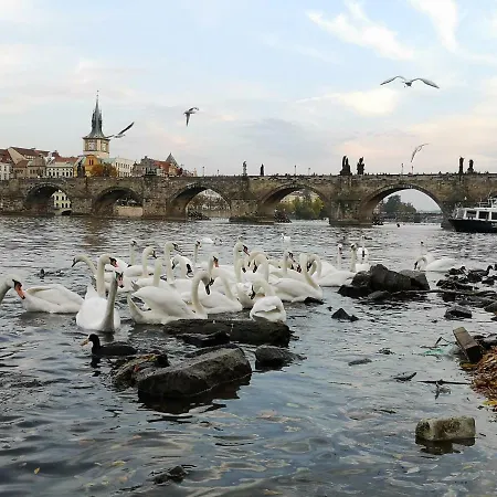 Ubytování v soukromí Cozy Near Charles Bridge *
